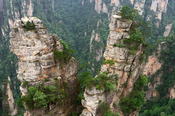 Sandstone pillars rise above the lush forest of Zhangjiajie National Forest Park in Wulingyuan Scenic Area, China.