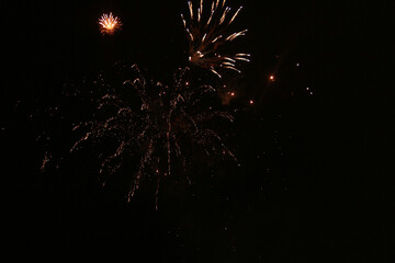 fireworks in the night sky