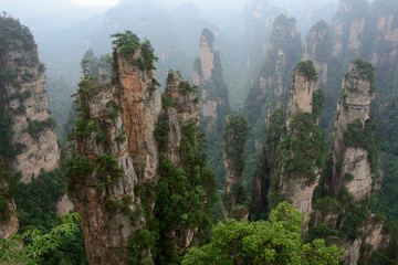 Sandstone pillars rise above the lush forest of Zhangjiajie National Forest Park in Wulingyuan Scenic Area, China.