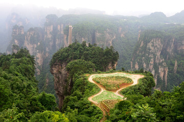 A small agricultural crop grows atop a mountaintop in Zhangjiajie National Forest Park in Wulingyuan Scenic Area, China.