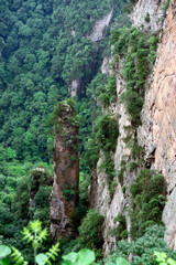 Sandstone pillars rise above the lush forest of Zhangjiajie National Forest Park in Wulingyuan Scenic Area, China.