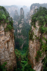 Sandstone pillars rise above the lush forest of Zhangjiajie National Forest Park in Wulingyuan Scenic Area, China.