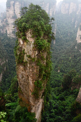 Sandstone pillars rise above the lush forest of Zhangjiajie National Forest Park in Wulingyuan Scenic Area, China.