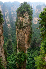 Sandstone pillars rise above the lush forest of Zhangjiajie National Forest Park in Wulingyuan Scenic Area, China.