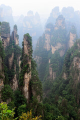 Sandstone pillars rise above the lush forest of Zhangjiajie National Forest Park in Wulingyuan Scenic Area, China.