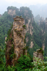 Fototapeta na wymiar Sandstone pillars rise above the lush forest of Zhangjiajie National Forest Park in Wulingyuan Scenic Area, China.