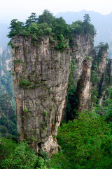 Sandstone pillars rise above the lush forest of Zhangjiajie National Forest Park in Wulingyuan Scenic Area, China.