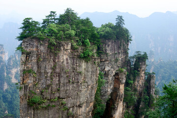 Sandstone pillars rise above the lush forest of Zhangjiajie National Forest Park in Wulingyuan Scenic Area, China.