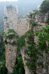 Sandstone pillars rise above the lush forest of Zhangjiajie National Forest Park in Wulingyuan Scenic Area, China.