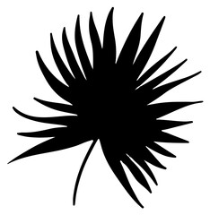 Obraz premium Monstera Tropical Leaf Silhouette Palm Vector Illustration