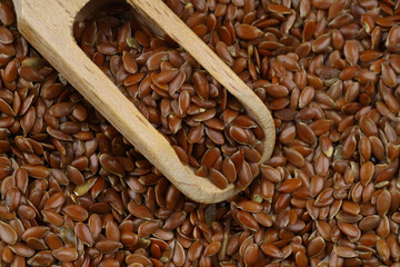 Vegetarian organic nutrition flax seeds in scoop on white background