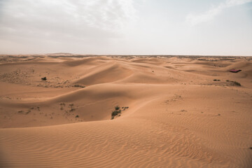 Fototapeta na wymiar Corrosive sand in the Gobi desert in Inner Mongolia region, China