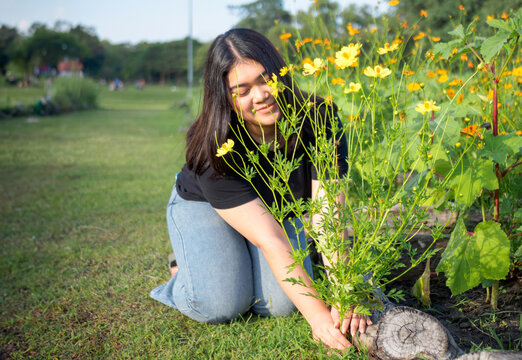 Portrait gardener young woman girl asian fat chubby cute beautiful one person looking hand holding Planting trees green leaves in garden park evening sunlight fresh smiling happy relax summer day