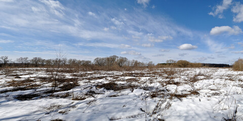Spring walk through the forest, beautiful panorama.	