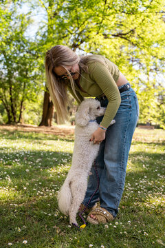 Poodle hugging his owner cute image, outdoors in the park 