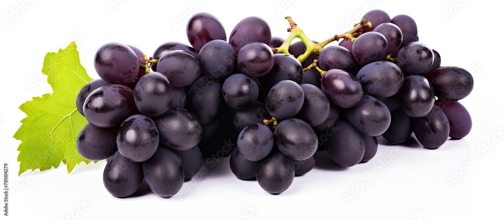 Poster close-up view of a cluster of dark grapes with a leaf on a plain white surface. dark grapes isolated