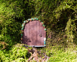 small door made of polymer clay on in nature like a fairy house close up