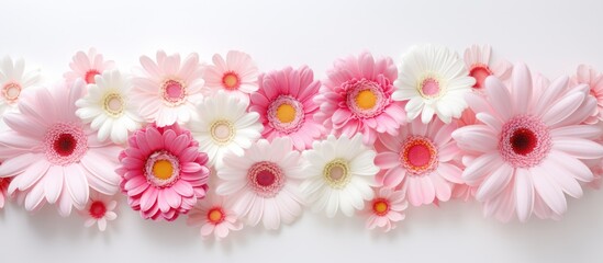 Pink and white flowers arranged sequentially on a clean white background, creating a simple and elegant display.