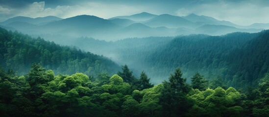 A scenic vista of a lush forest against a majestic mountain backdrop