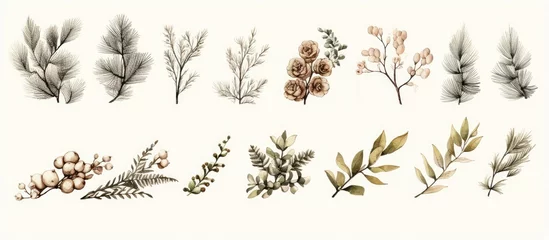 Deurstickers A diverse assortment of plant varieties and colorful flowers set against a clean white background © Ilgun