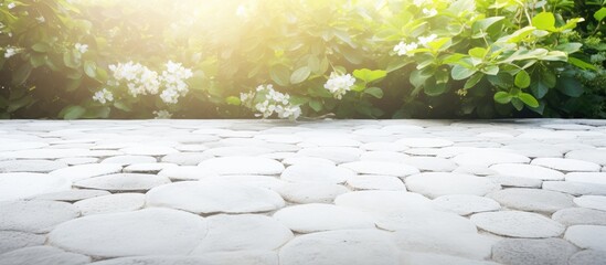 Sunlight shining through the leafy canopy onto a textured stone floor, creating a tranquil atmosphere - obrazy, fototapety, plakaty