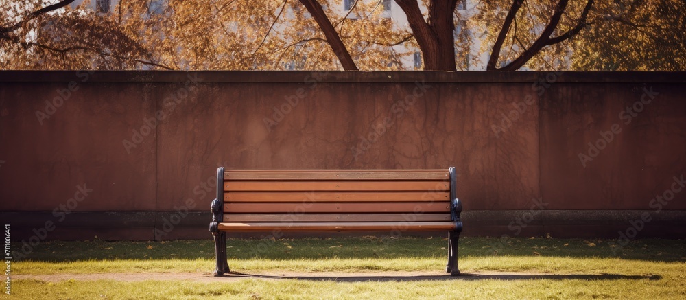 Poster wooden bench placed in front of a wall with a lush tree visible in the background