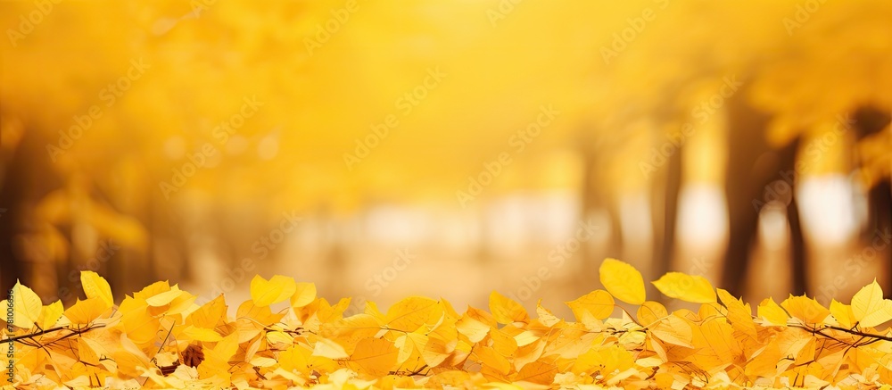 Aufkleber yellow autumn background filled with leaves and trees, creating a beautiful natural setting for the 