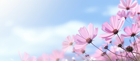 Pink flowers stand out against a clear, blue sky in this serene outdoor scene.