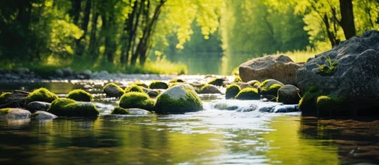 Poster de jardin  Tranquil scene of a stream meandering through a dense woodland landscape dotted with boulders  © Ilgun