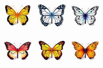 butterflies in different colors isolated on a white solid background