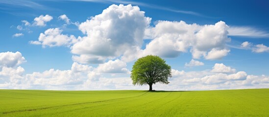 Isolated tree standing in a peaceful green field, under a majestic blue sky with no other objects in sight - Powered by Adobe
