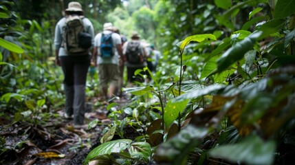 A group of researchers trek through a tropical rainforest taking measurements and yzing soil samples to better understand the diverse array of ecosystems that coexist within this lush . - obrazy, fototapety, plakaty