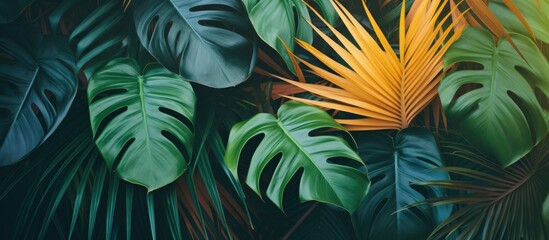 Close-up image featuring a cluster of vibrant green and yellow leaves, showcasing the beauty of nature's foliage for backgrounds and patterns.