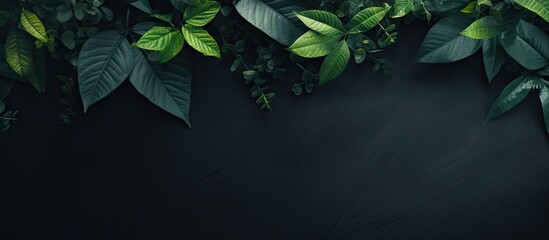 Green leaves contrast against a deep black background, resting on a dark surface
