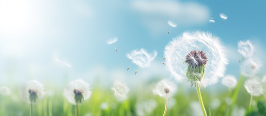 Close-up view of a vibrant dandelion set against the backdrop of a clear blue sky