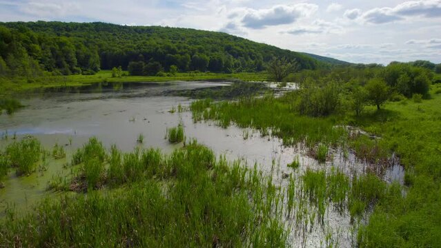 Flying over a pond towards a forest on the hill during the middle of summer.
