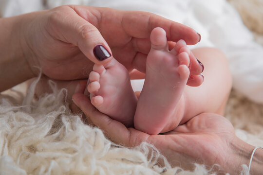 Little newborn baby feet portrait photography