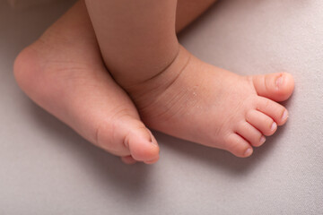 Little newborn baby feet portrait photography 