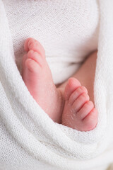 Little newborn baby feet portrait photography 