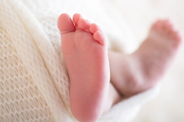 Little newborn baby feet portrait photography 
