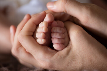 Little newborn baby feet portrait photography 