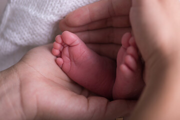 Obraz na płótnie Canvas Little newborn baby feet portrait photography 