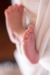 Little newborn baby feet portrait photography 