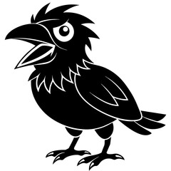 black and white bird