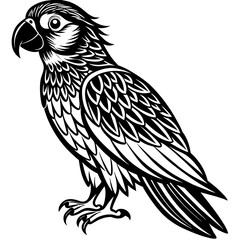 illustration of an eagle