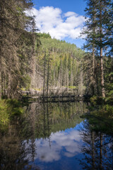 Northern British Columbia Wetland
