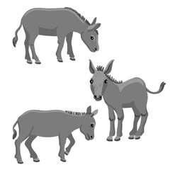 vector drawing grey donkey, farm animals isolated at white background, hand drawn illustration - 781019461