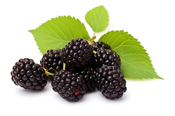 Mulberry on white background, Fresh Mulberry