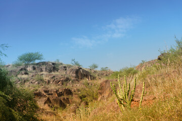 Fototapeta na wymiar Welded tuff, massive volcanic pink rocks of Rao Jodha Desert Rock Park, Jodhpur, Rajasthan, India. Near the historic Mehrangarh Fort , park contains ecologically restored desert and land vegetation.