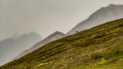 view from the top of the mountain